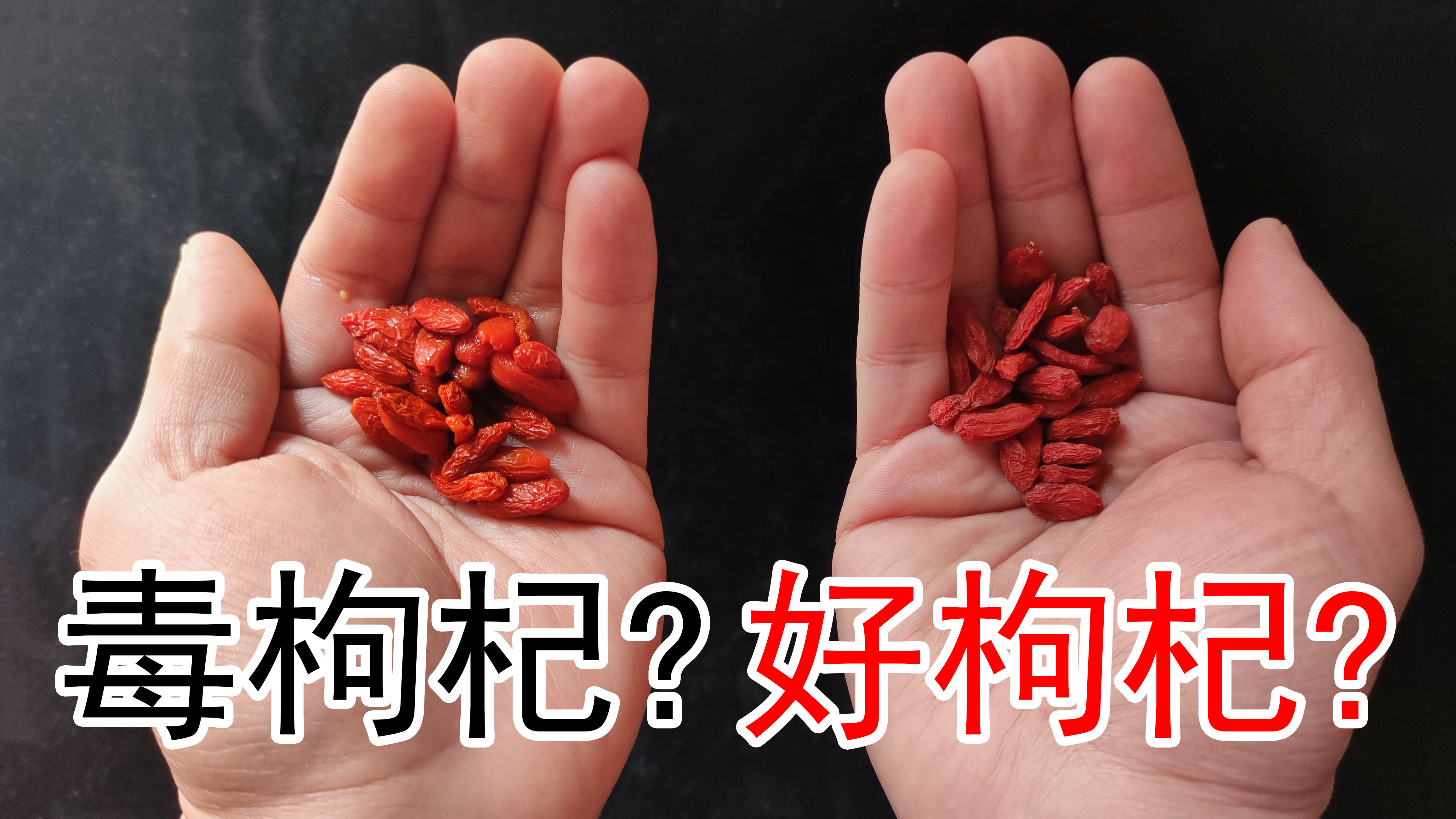 有毒的硫磺枸杞不能要，5招辨别妙招要牢记，请分享给家人和朋友