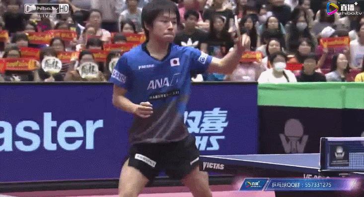 刘国梁日本乒乓球选手,乒乓球日本最佛系的选手