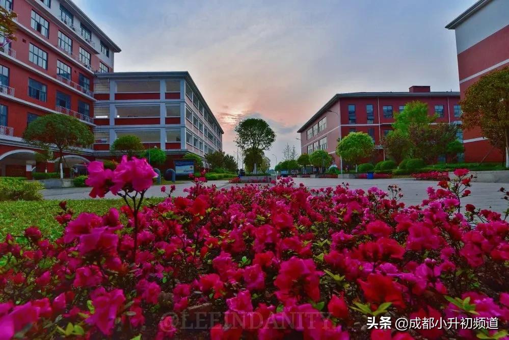 2024嘉祥锦江小升初招生简章,嘉祥温江小升初招生简章