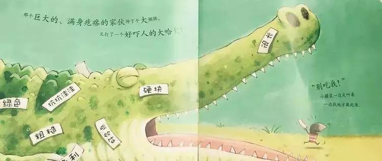 悦宝园主题课程推荐：鳄鱼｜AlligatorsandCrocs