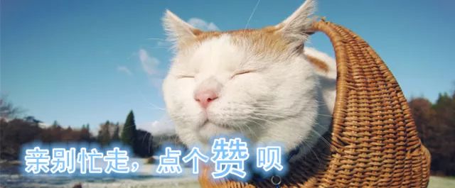 厉害了！苏州96所学校、2379名选手激烈交锋！这场高颜值大赛刷屏了！