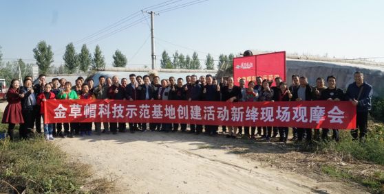用它一茬多赚近2万：种地老把式再不愁销路，经销商惊叹这产品要火！