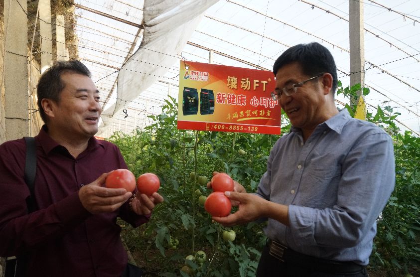 用它一茬多赚近2万：种地老把式再不愁销路，经销商惊叹这产品要火！