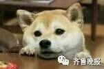 中国大妈吃垮游轮真相,大妈吃垮游轮旅游视频