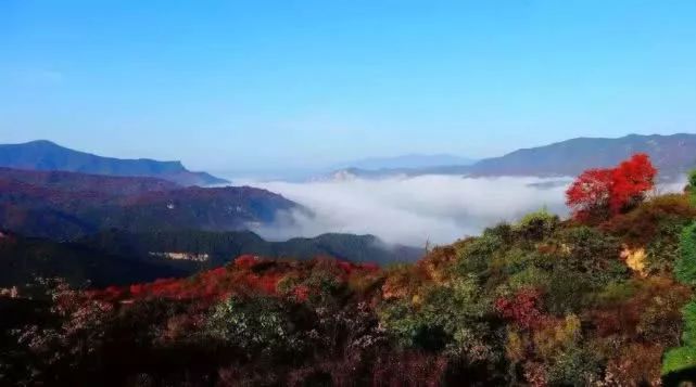 河南秋天红叶最美的地方有哪些,河南秋天最美红叶景区