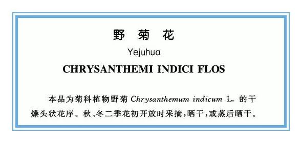 野生菊花与菊花区分,野生的山菊花是不是叫野菊花