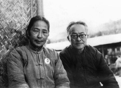 最意难平的文学作品,沈从文浏览推荐