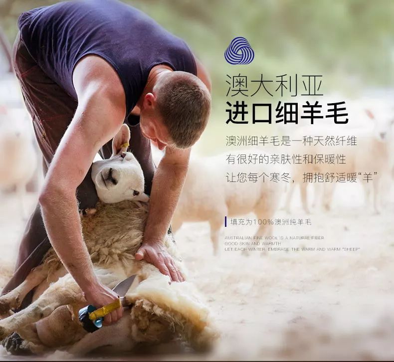 双11直降｜100%澳洲进口细羊毛，防尘抗螨，吸湿排汗，每天都像睡在云朵里