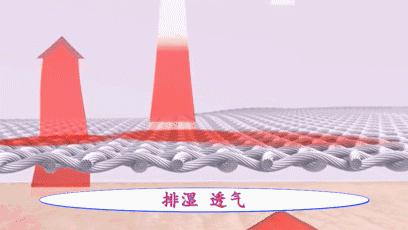汉麻隐形袜,汉麻袜夏季