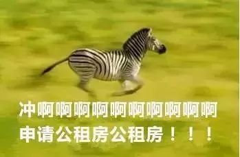 深圳一次推近万套公租房,深圳公租房3人申请几房