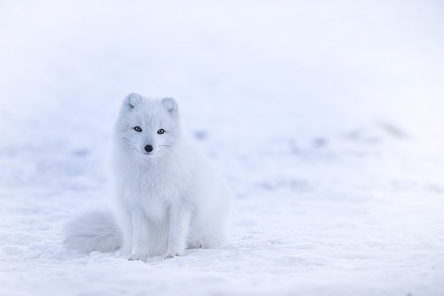 姑娘才猫冬，真男人都穿上性感秋裤去长白山玩雪了，这篇攻略让你浪到起飞！