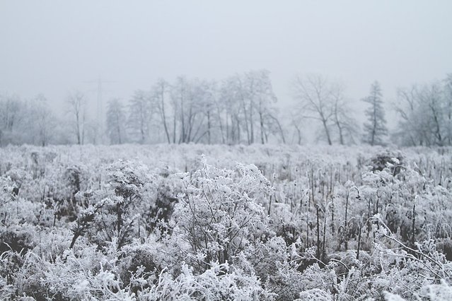 姑娘才猫冬，真男人都穿上性感秋裤去长白山玩雪了，这篇攻略让你浪到起飞！