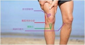 飞一般感觉完整版,飞一般感觉