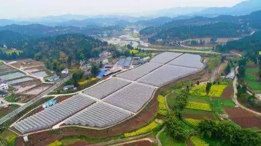 农业农村部、财政部公布！宁安成为首批20个国家现代农业产业园之一