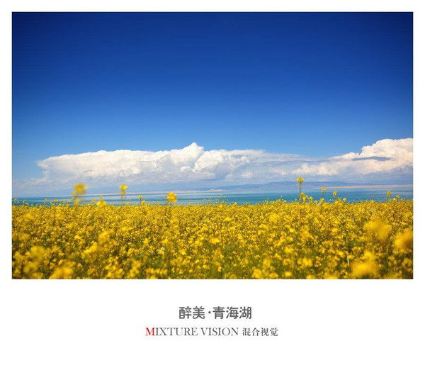 到青海湖旅游注意事项,去青海湖需求注意什么