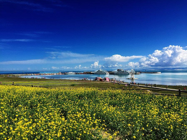 到青海湖旅游注意事项,去青海湖需求注意什么