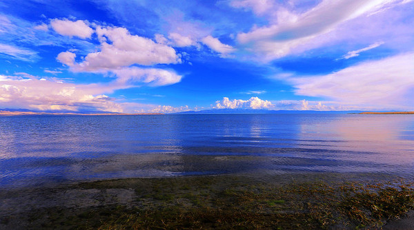 到青海湖旅游注意事项,去青海湖需求注意什么