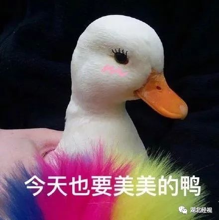 推广｜身份证42开头的注意！牙齿矫正、种植牙，这些全免费！