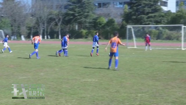 瓒崇悆鍗忎細宸ヤ綔鍥為【,涓浗瓒崇悆鏀归潻瀹忚鍒嗘瀽