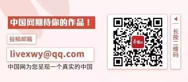 轻松早茶完整版视频,适合5.1去的广州早茶