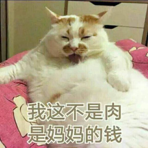 办健身游泳卡套路,办游泳健身卡的套路