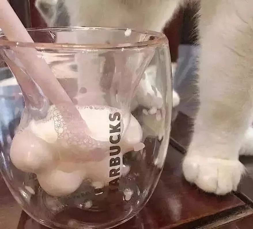 海检小知,猫爪杯真假鉴别