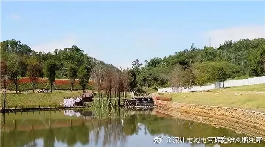 深圳地标建筑物有哪些,深圳新地标横空出世