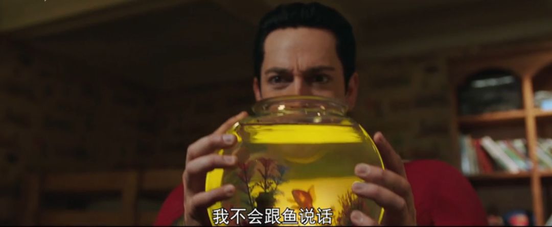 四月内爆款好物,四月爆款产品