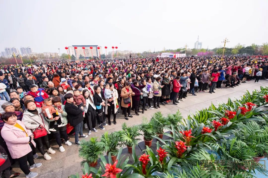 鹤壁樱花节樱花大道,鹤壁樱花节开幕