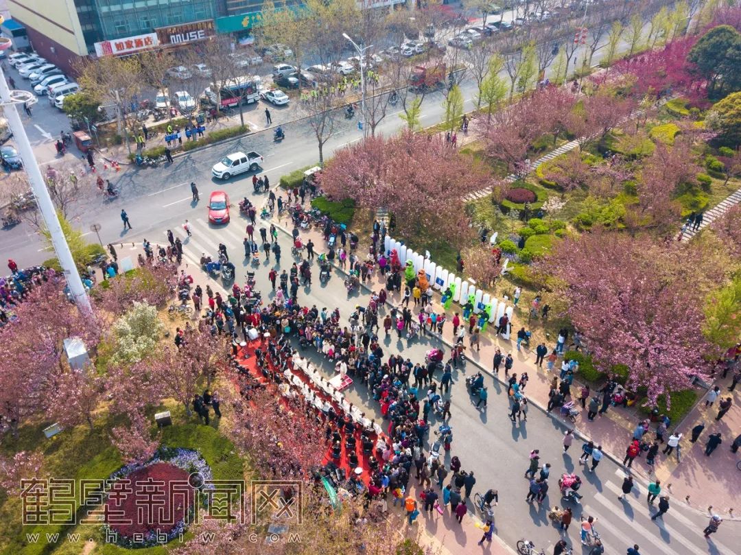 鹤壁樱花节樱花大道,鹤壁樱花节开幕