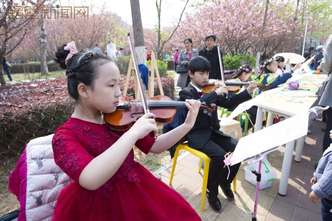 鹤壁樱花节樱花大道,鹤壁樱花节开幕