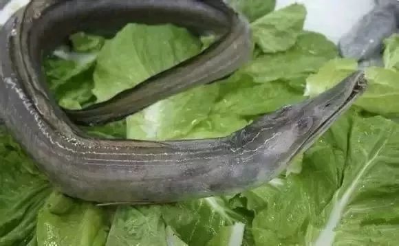 大连最新管控时间,大连最新重要通告