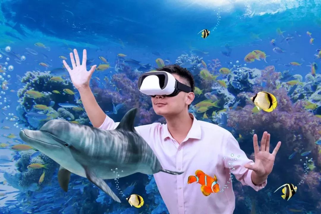 上海迪士尼免费玩的景点,上海旅游节半价景点迪士尼