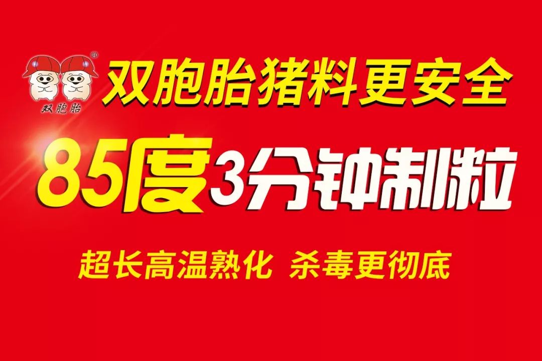 贵州双胞胎养猪加盟联系方式,双胞胎公司加农户养猪