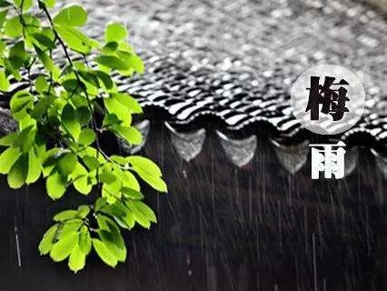 一楼吊顶除霉防霉方法,墙体大面积发霉除霉防霉