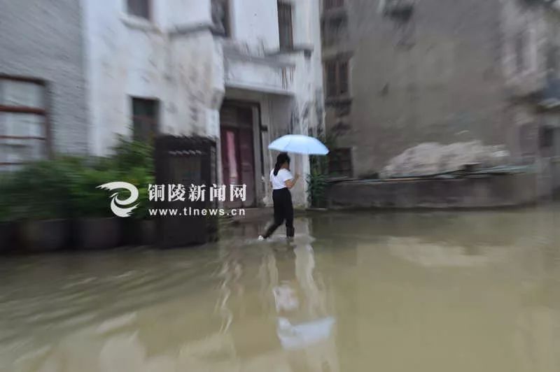 “在这里读懂铜陵”——铜陵，排名全省前三！