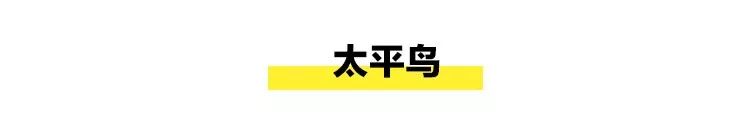madeinchina中国制造,madeinchina牌子的档次