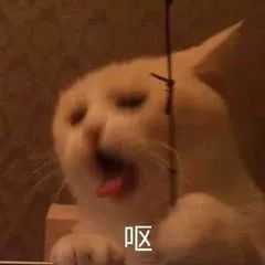 把世界上zui「火热」的石头，封进小罐，老司机一眼就沦陷