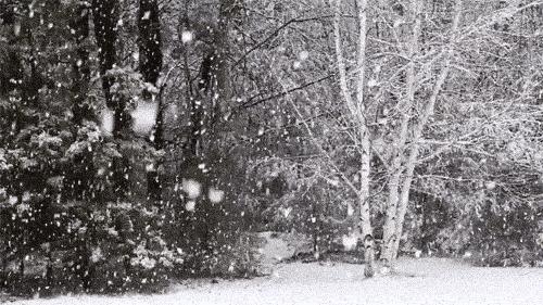 大雪飘飘朗读,大雪飘飘白皑皑