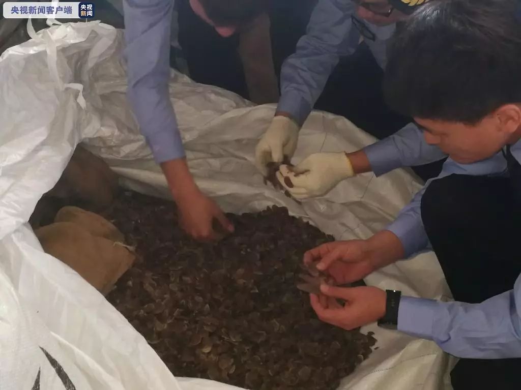 这东西成本80块，售价高达800!现场触目惊心......