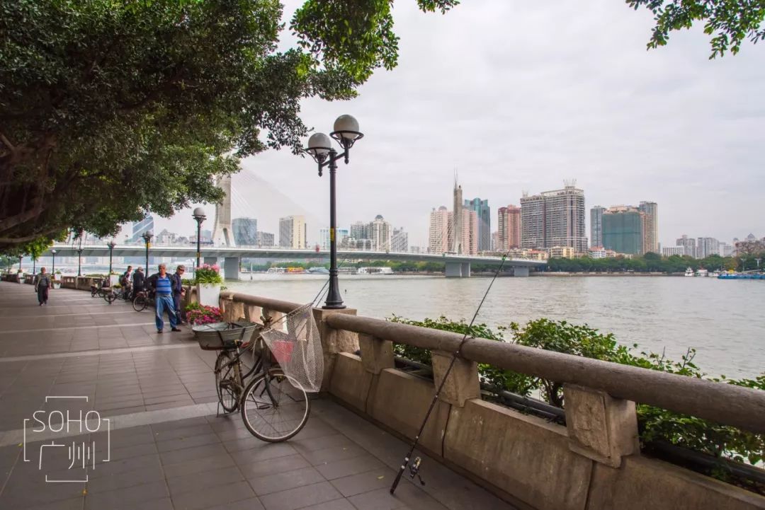 海珠区公园名单,广州公园排名前十名海珠湿地公园
