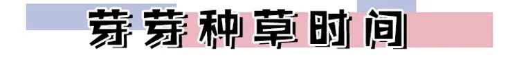 私底下有异味怎么办,十几岁就有异味正常吗