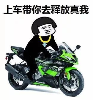 真逍遥,真逍遥小说