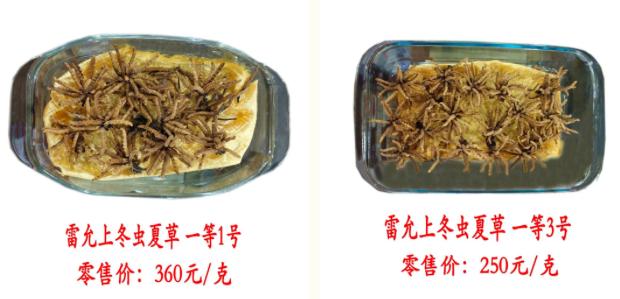 鍐櫕澶忚崏鐭虫枦绀肩洅,鍐櫕澶忚崏閾佺毊鏋枟