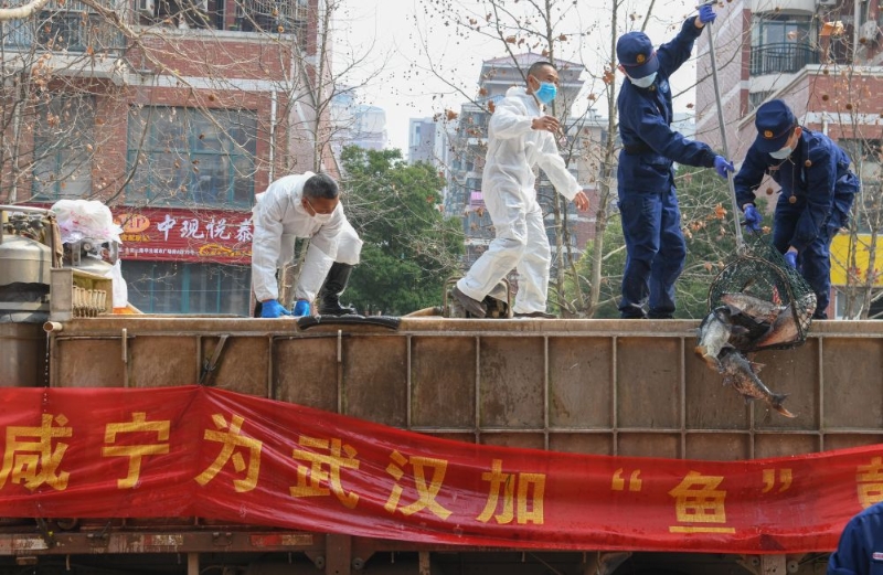 风雨无阻向前进抗疫之歌歌词,疫情防控阻击战取得重要成果