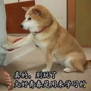 从零开始学花艺直播,从零开始学花艺全集