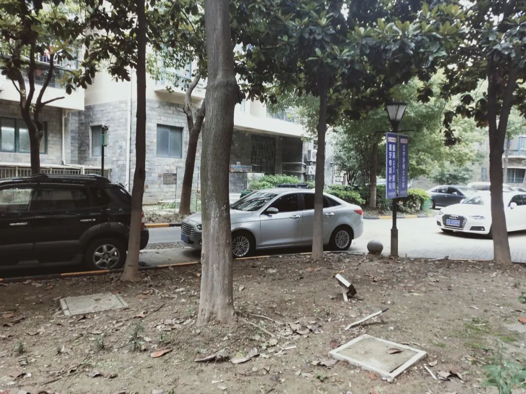 涨幅低、环境一般，南京这个地铁口小区成交却“意外”火热