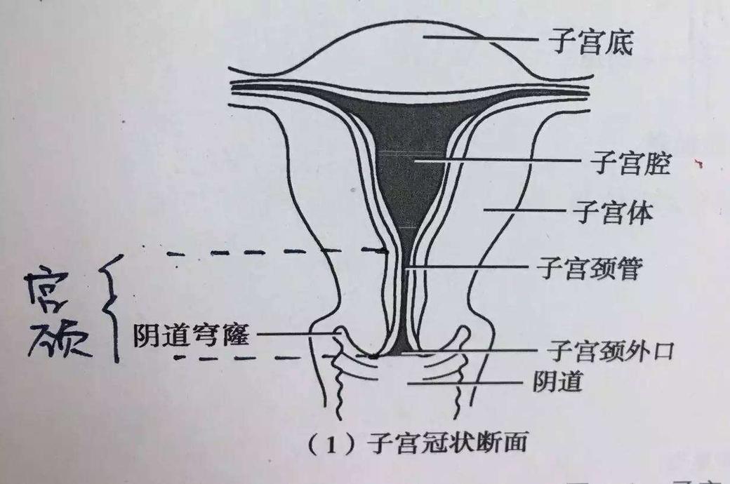 徐焕聊育儿,徐焕医生