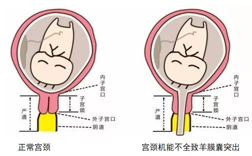 徐焕聊育儿,徐焕医生