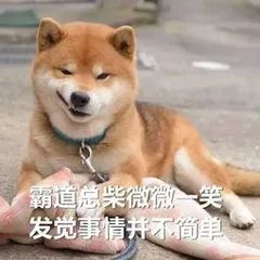 英专学生为什么要取英文名,留学生如何取一个地道的英文名